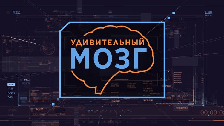 Постер Удивительный мозг