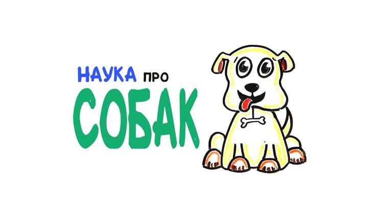 Постер Научные факты о собаках