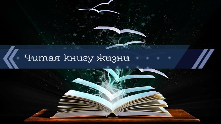 Постер Читая книгу жизни