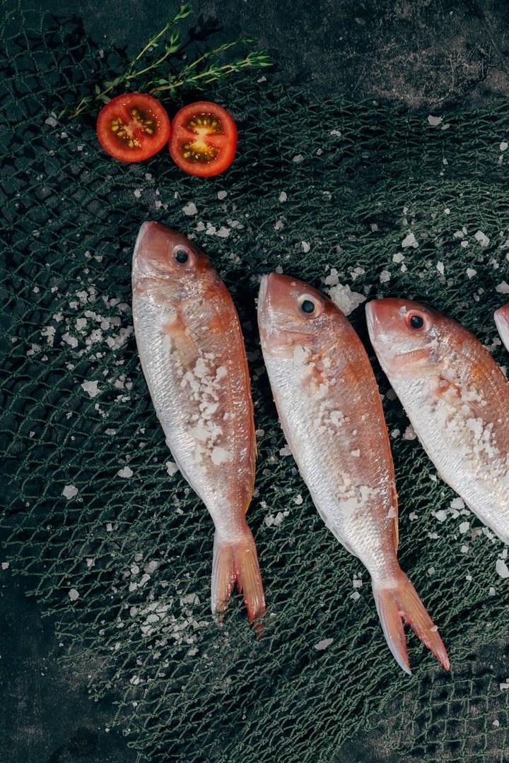 Маринованная скумбрия (marinovannaja-skumbrija) Досуг, хобби