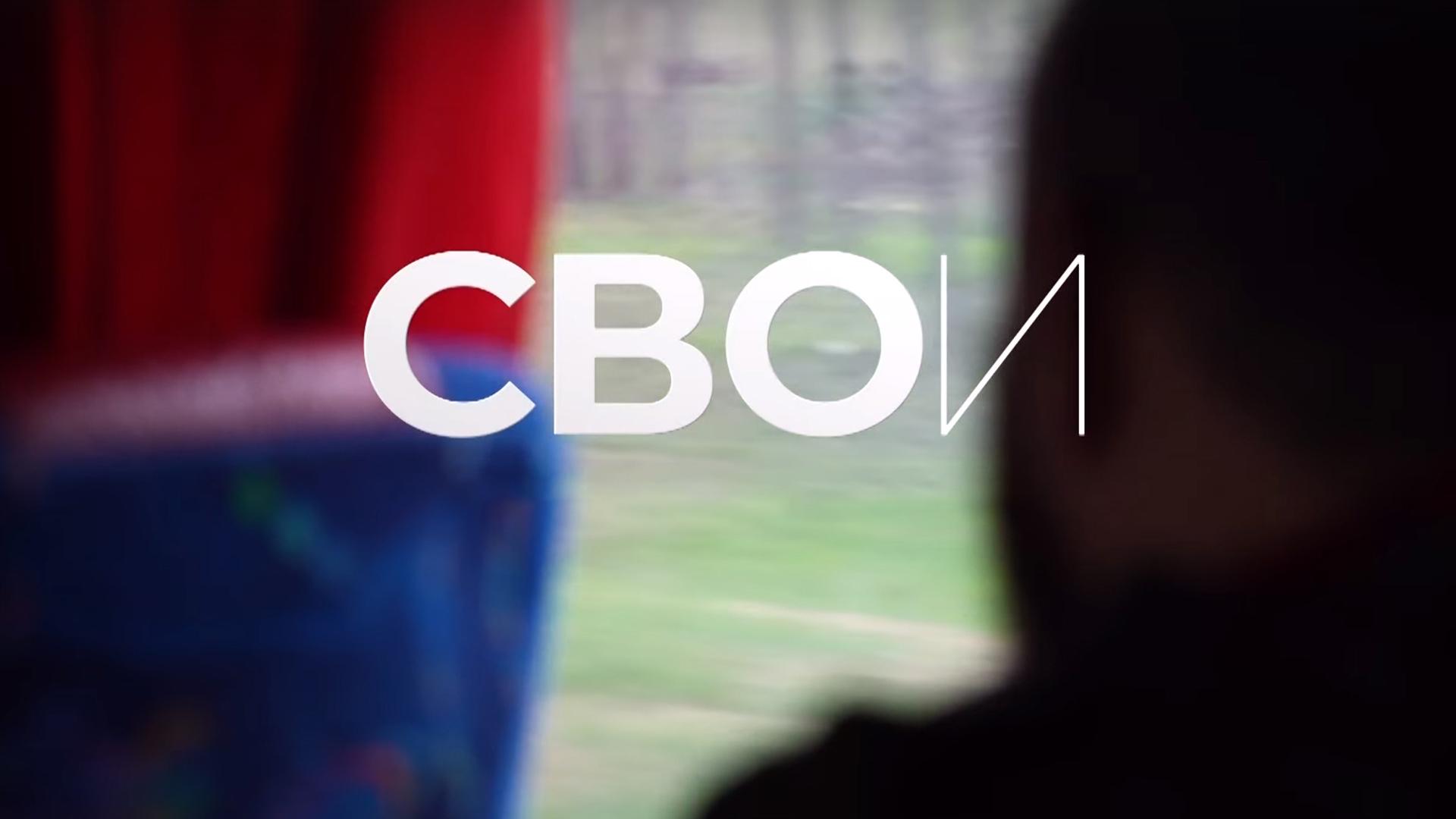 Свои (svoi) Документальный фильм