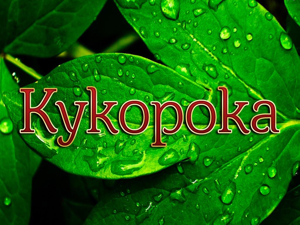 Кукорока (kukoroka) Познавательное