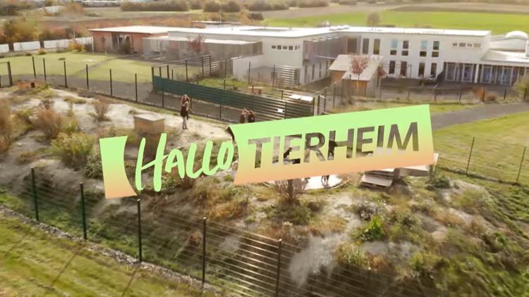 Постер Hallo Tierheim!