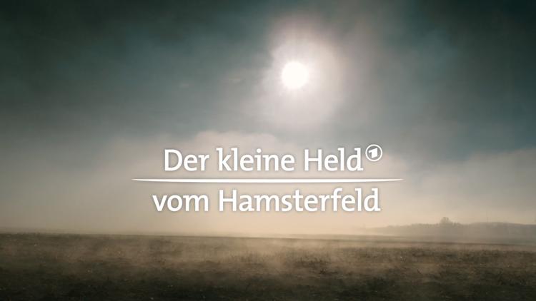 Постер Der kleine Held vom Hamsterfeld