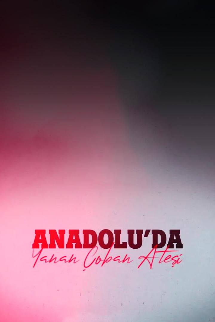 Anadolu'da Yanan Çoban Ateşi (anadoluda-yanan-oban-atei) Другое