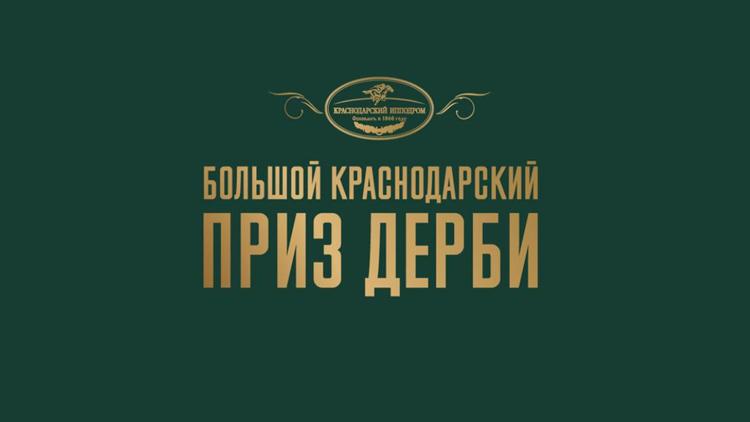 Постер Конный спорт. Скачки. Большой Краснодарский приз Дерби. Трансляция из Краснодара