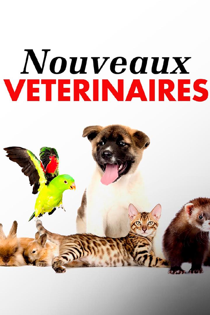 Nouveaux vétérinaires (nouveaux-vtrinaires) Документальный сериал