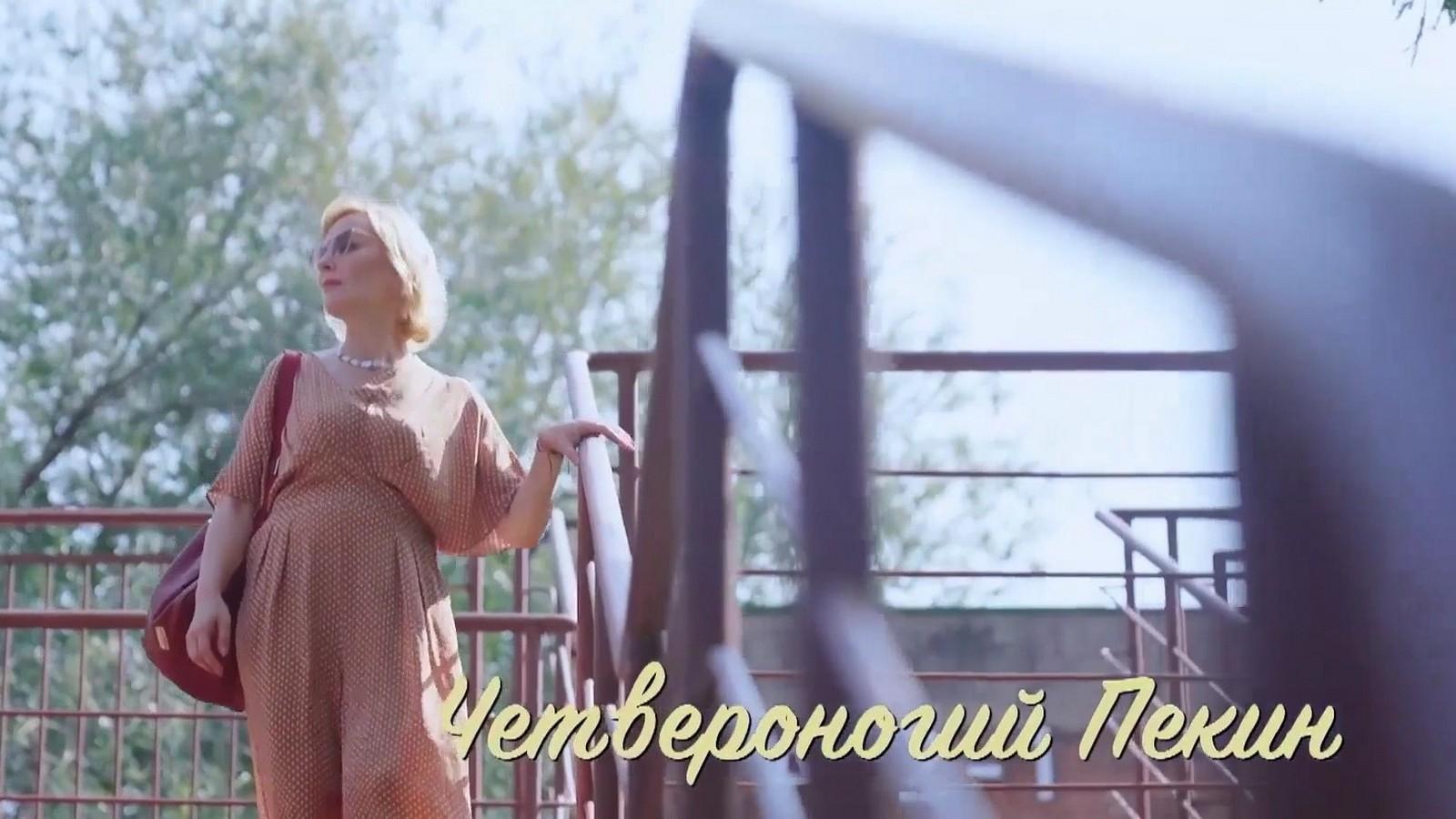 Мой Пекин - четвероногий Пекин (moj-pekin-chetveronogij-pekin) Документальный фильм