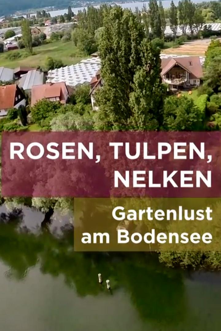 Rosen, Tulpen, Nelken – Gartenlust am Bodensee (rosen-tulpen-nelken-gartenlust-am-bodensee) Документальный фильм