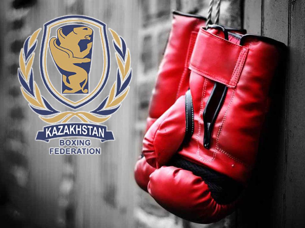 Бокс. Чемпионат РК. Церемония открытия. День 1-й (boks-chempionat-rk-tseremonija-otkrytija-den-1-j) ТВ-шоу