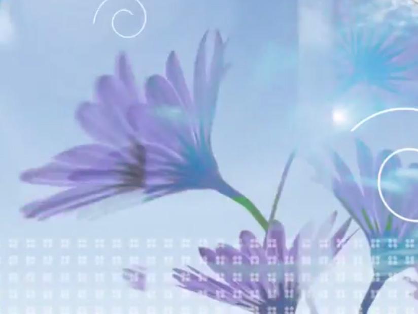 Твоё здоровье (tvoe-zdorove) Познавательное