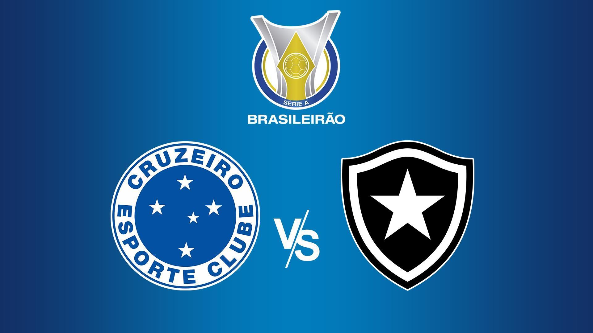 Чемпионат Бразилии. Крузейро - Ботафого (chempionat-brazilii-kruzejro-botafogo) Спорт