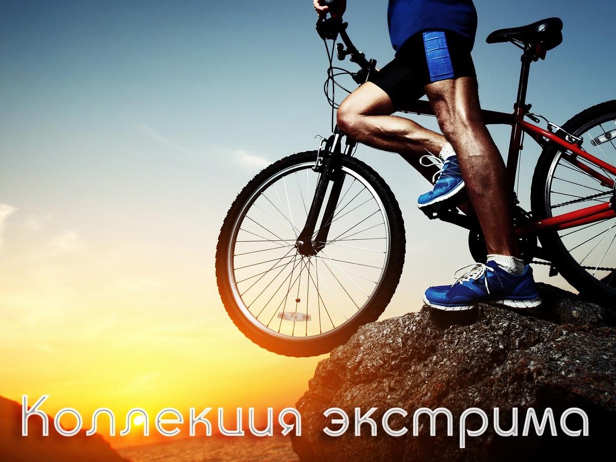 Коллекция экстрима (kollektsija-ekstrima) ТВ-шоу