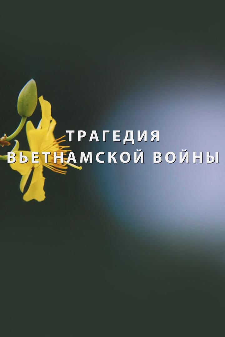 Трагедия вьетнамской войны (tragedija-vetnamskoj-vojny) Документальный фильм
