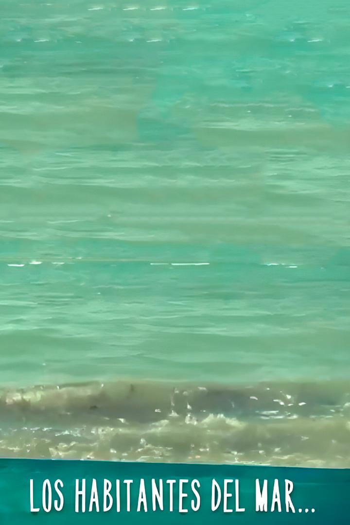 Los habitantes del mar (los-habitantes-del-mar) Познавательное