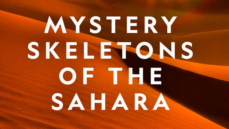 Постер Mystery Skeletons of the Sahara