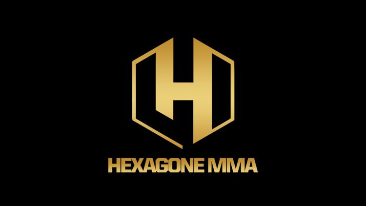 Постер Смешанные единоборства. Hexagone MMA 10. Грегори Бушелагем против Джанлука Лосисеро. Уолтер Гахадза против Софиана Удины. Трансляция из Франции