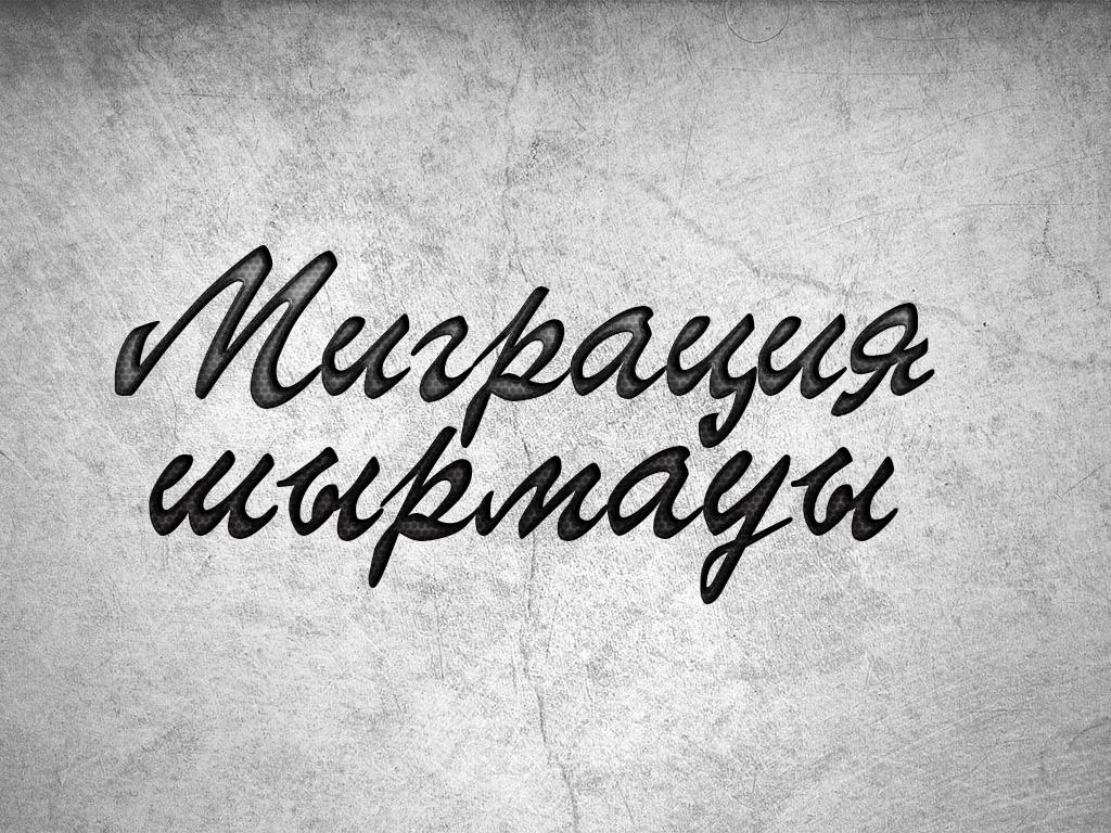 Миграция шырмауы (migratsija-shyrmauy) Документальный фильм