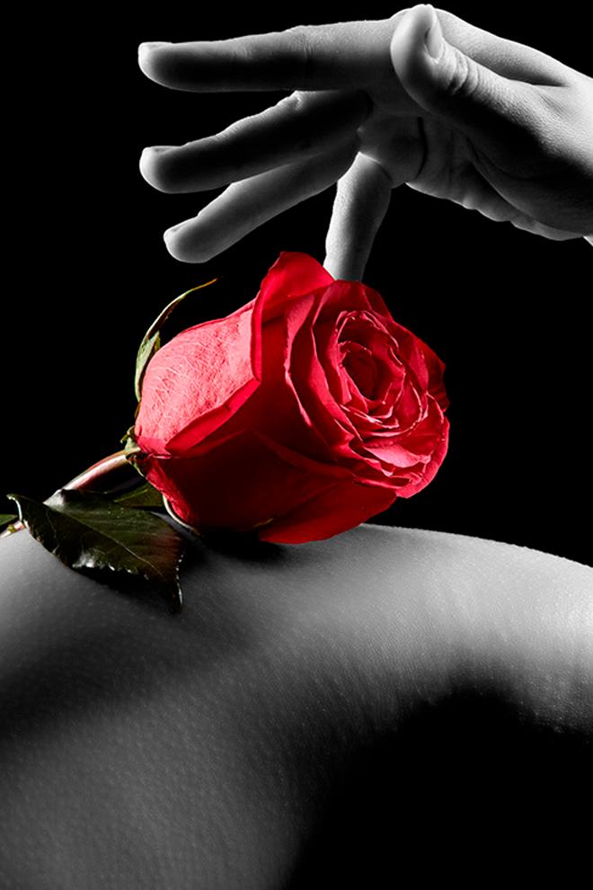 Beautiful and Horny 2 (beautiful-and-horny-2) Для взрослых