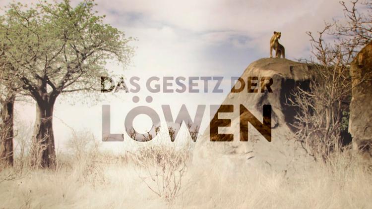 Постер Das Gesetz der Löwen