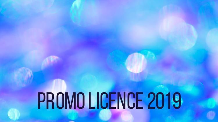 Постер Promo licence 2019