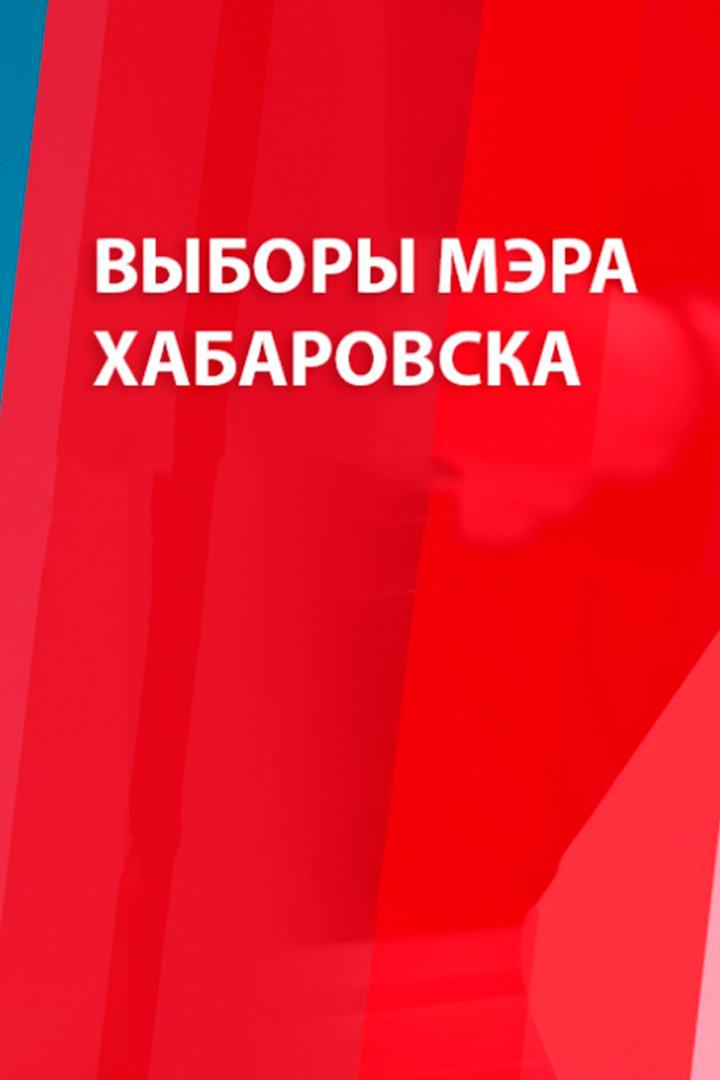 Выборы Мэра города Хабаровска (vybory-mera-goroda-habarovska) Другое