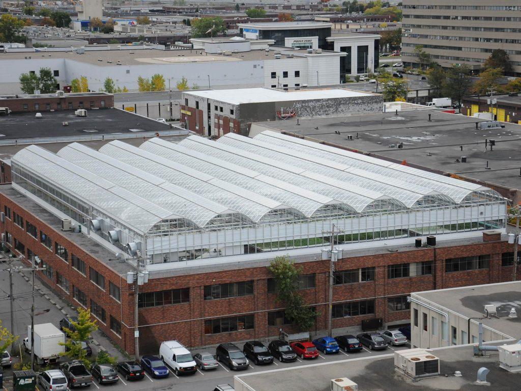 Сельскохозяйственная революция в городе (selskohozjajstvennaja-revoljutsija-v-gorode) Документальный фильм