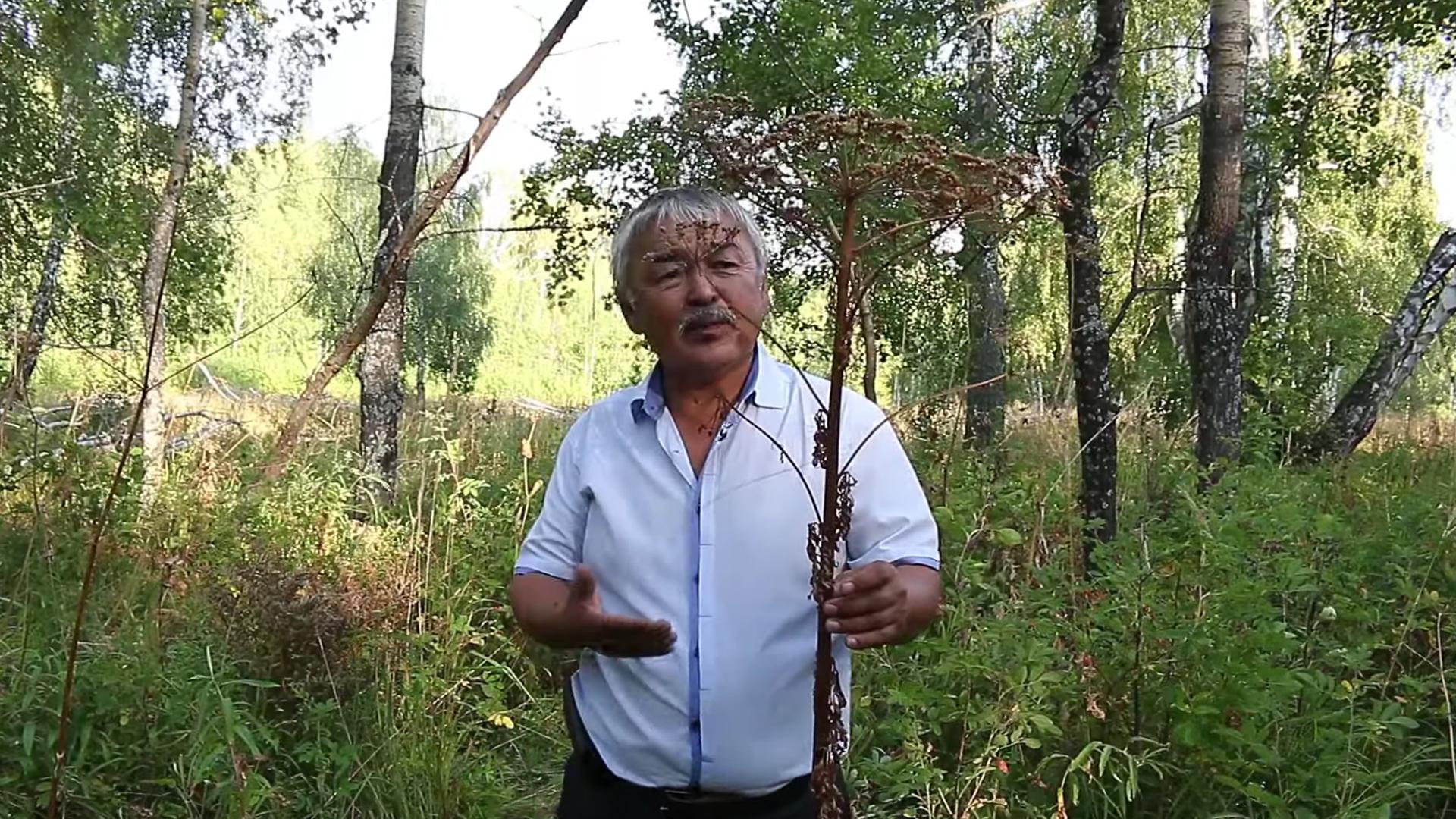 А. Аиткулов. Изготовление курая (a-aitkulov-izgotovlenie-kuraja) Досуг, хобби