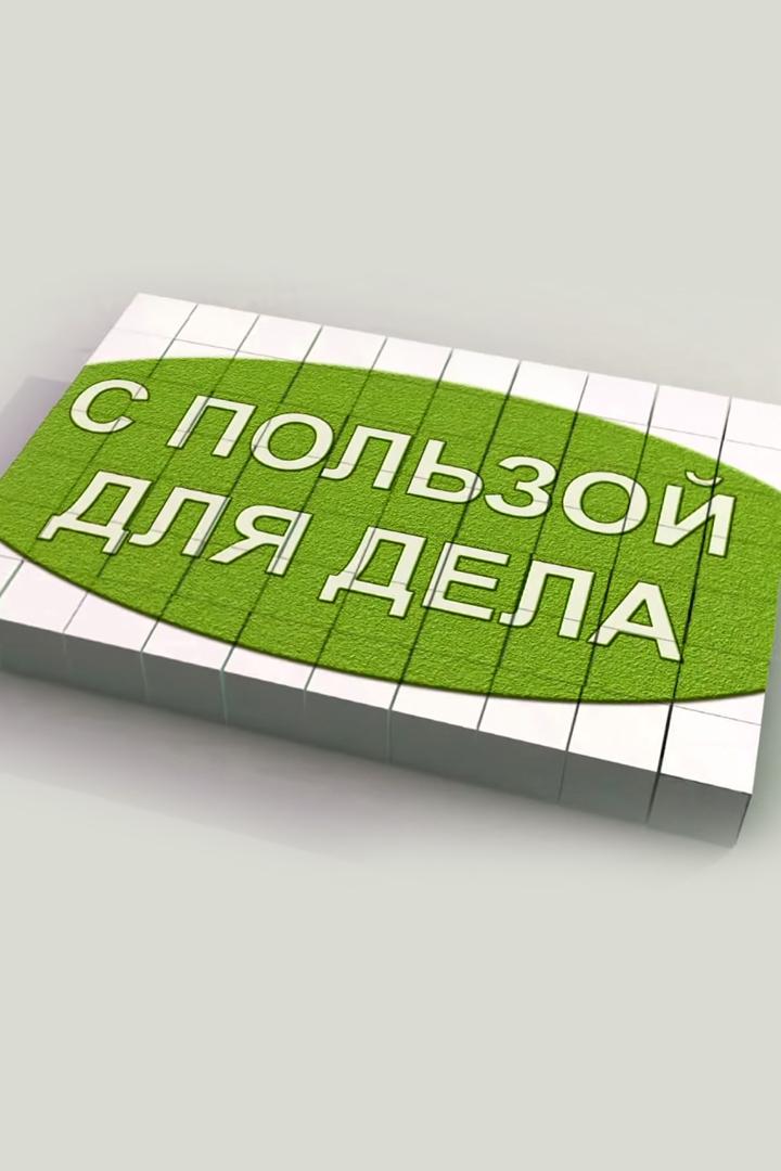 С пользой для дела (s-polzoj-dlja-dela) Познавательное