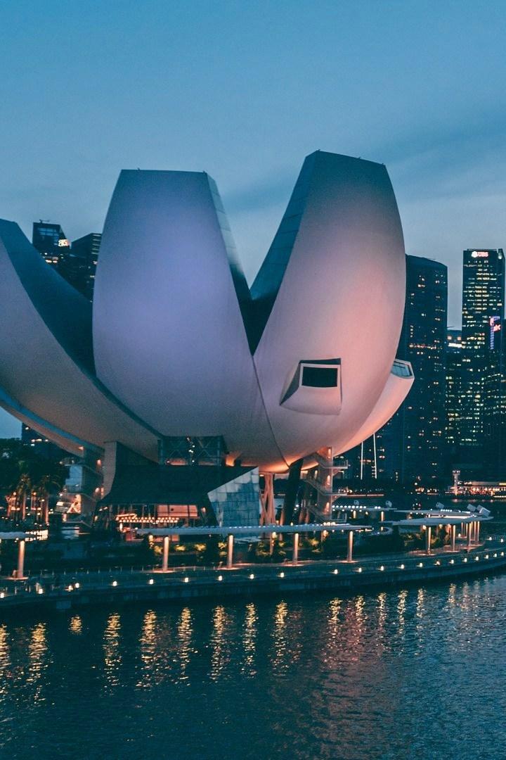 Singapore Reserves Revealed (singapore-reserves-revealed) Познавательное
