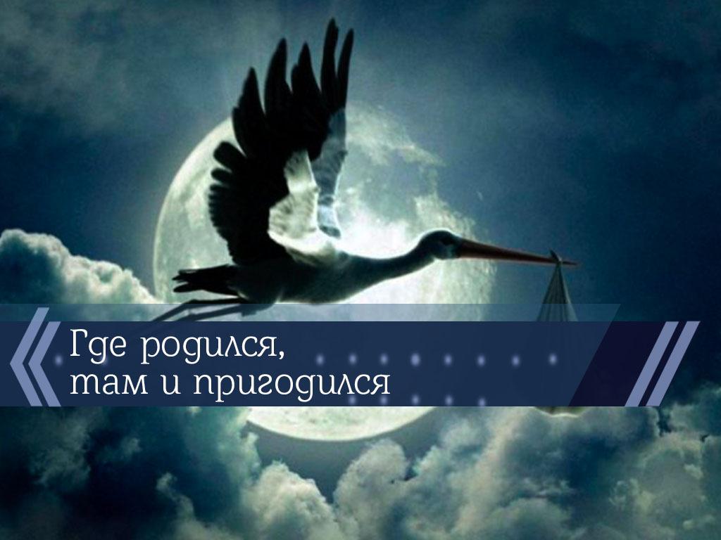 Где родился, там и пригодился (gde-rodilsja-tam-i-prigodilsja) Познавательное
