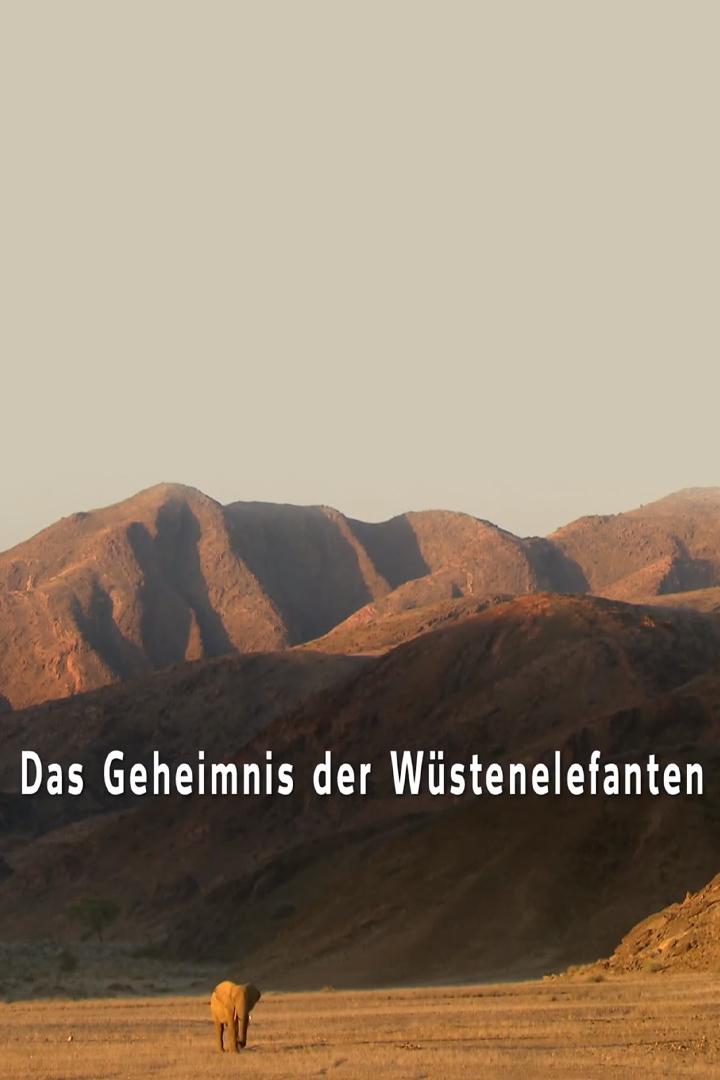 Das Geheimnis der Wüstenelefanten (das-geheimnis-der-wstenelefanten) Другое