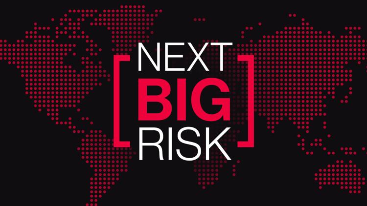 Постер Next Big Risk