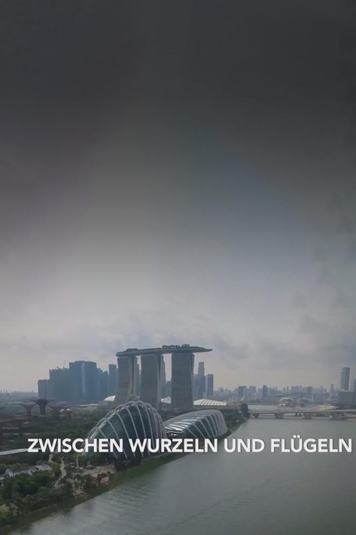 Zwischen Wurzeln und Flügeln — Kind sein in Asien (zwischen-wurzeln-und-flgeln-kind-sein-in-asien) Познавательное