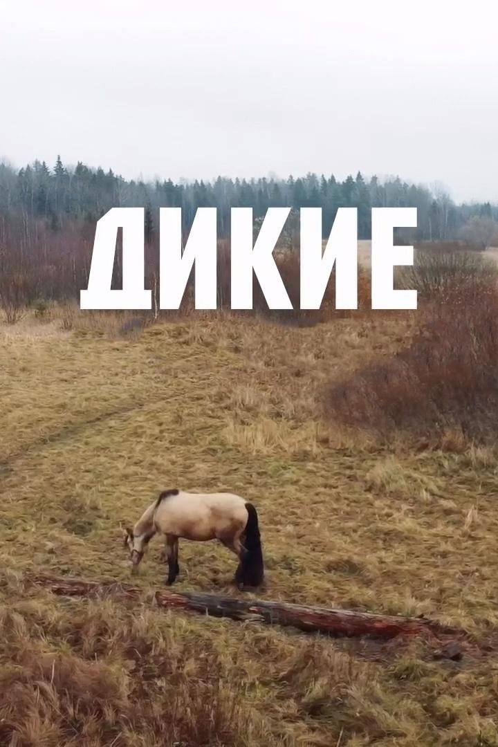 Дикие (dikie) Документальный сериал