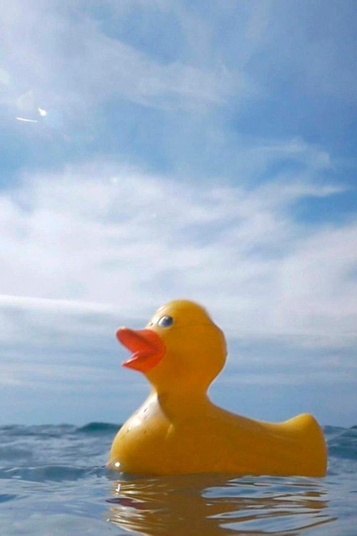 Océans, le mystère plastique (ocans-le-mystre-plastique) Документальный фильм