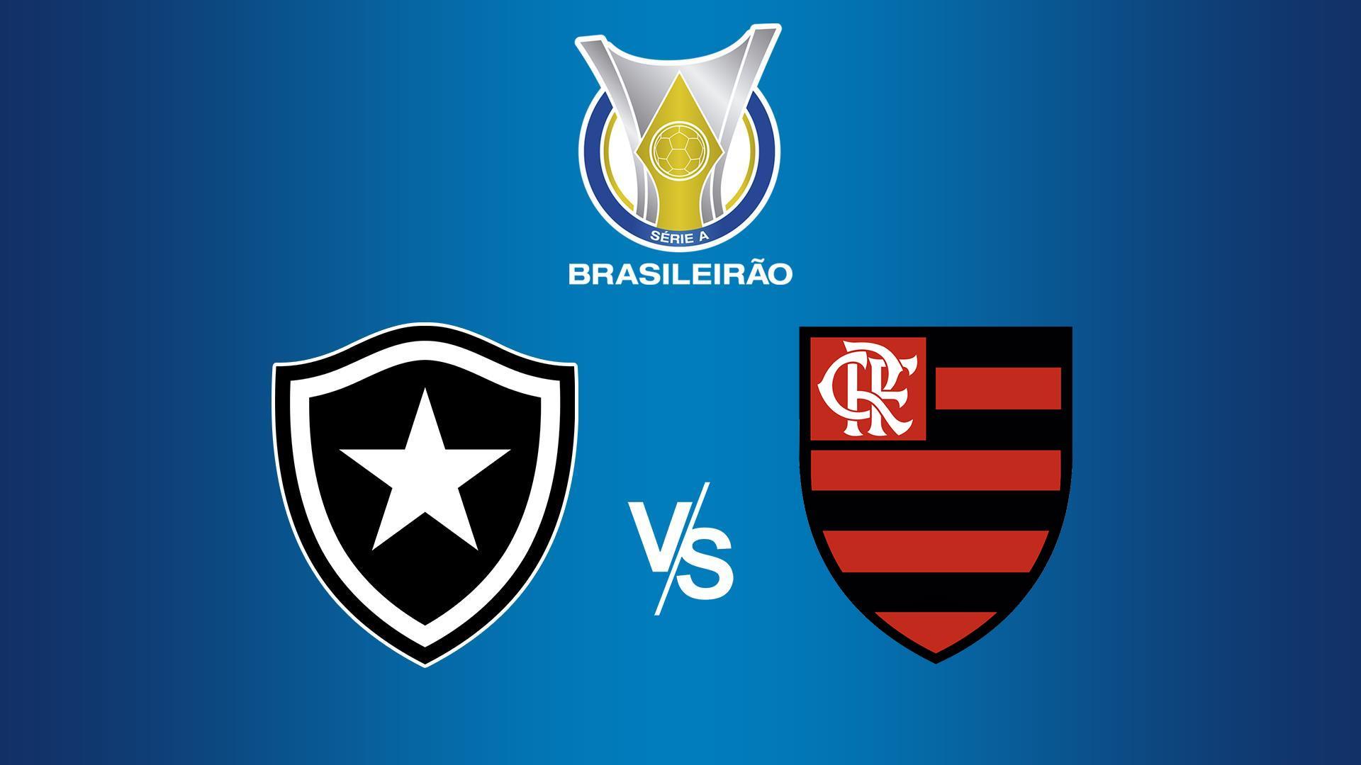 Чемпионат Бразилии. Ботафого - Фламенго (chempionat-brazilii-botafogo-flamengo) Спорт