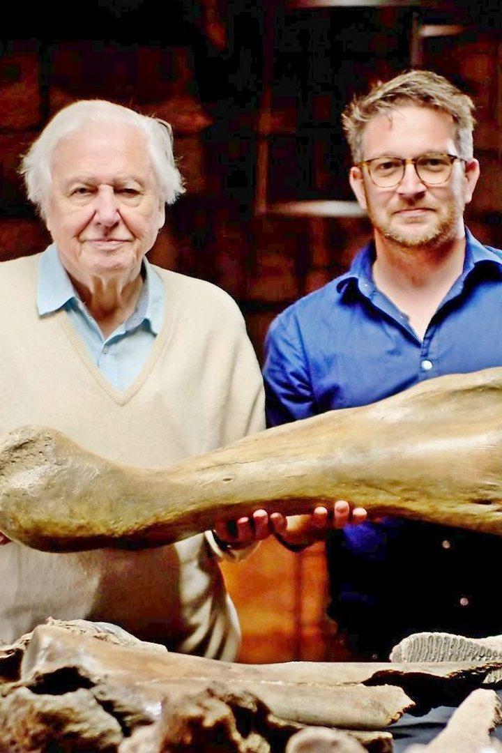 Attenborough and the Mammoth Graveyard (attenborough-and-the-mammoth-graveyard) Досуг, хобби