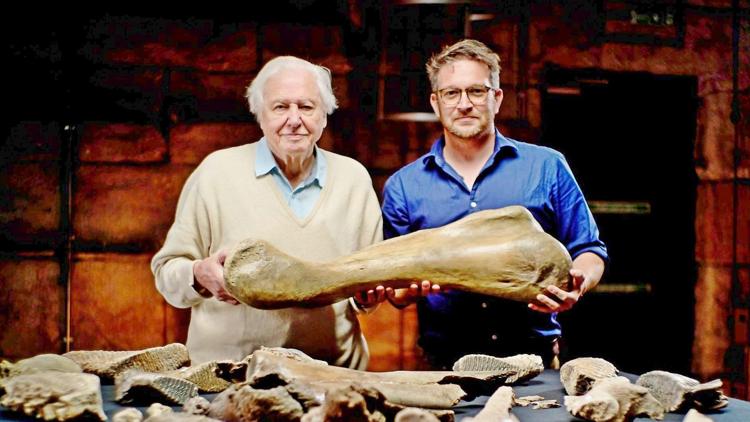 Постер Attenborough and the Mammoth Graveyard