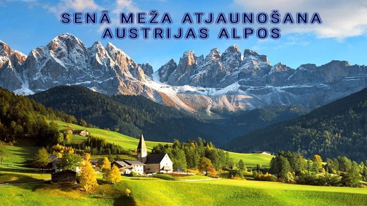 Постер Senā meža atjaunošana Austrijas Alpos