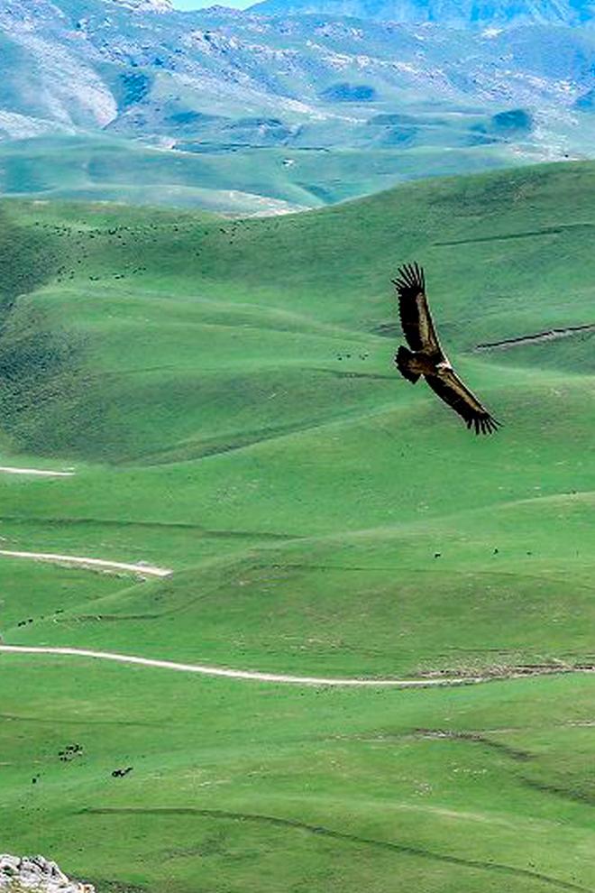 Таинственная горная Кашкадарья (tainstvennaja-gornaja-kashkadarja) Досуг, хобби