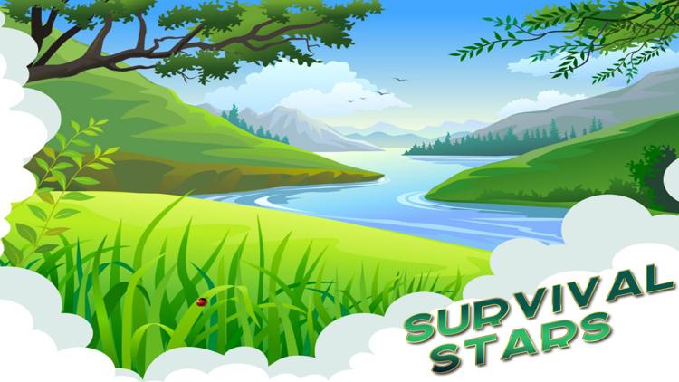 Постер Survival Stars