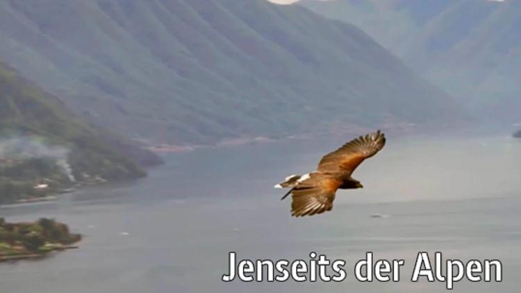 Постер Jenseits der Alpen