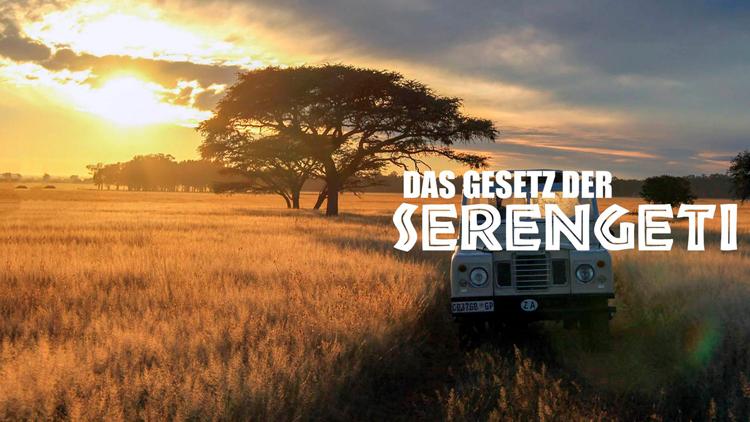 Постер Das Gesetz der Serengeti