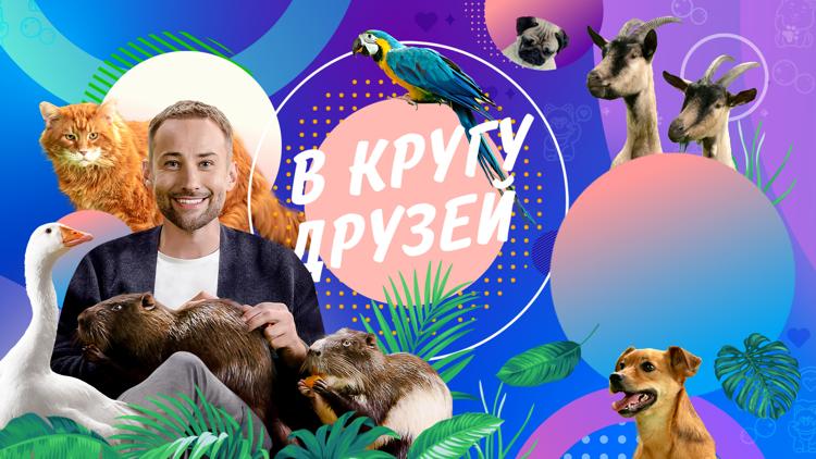 Постер В кругу друзей