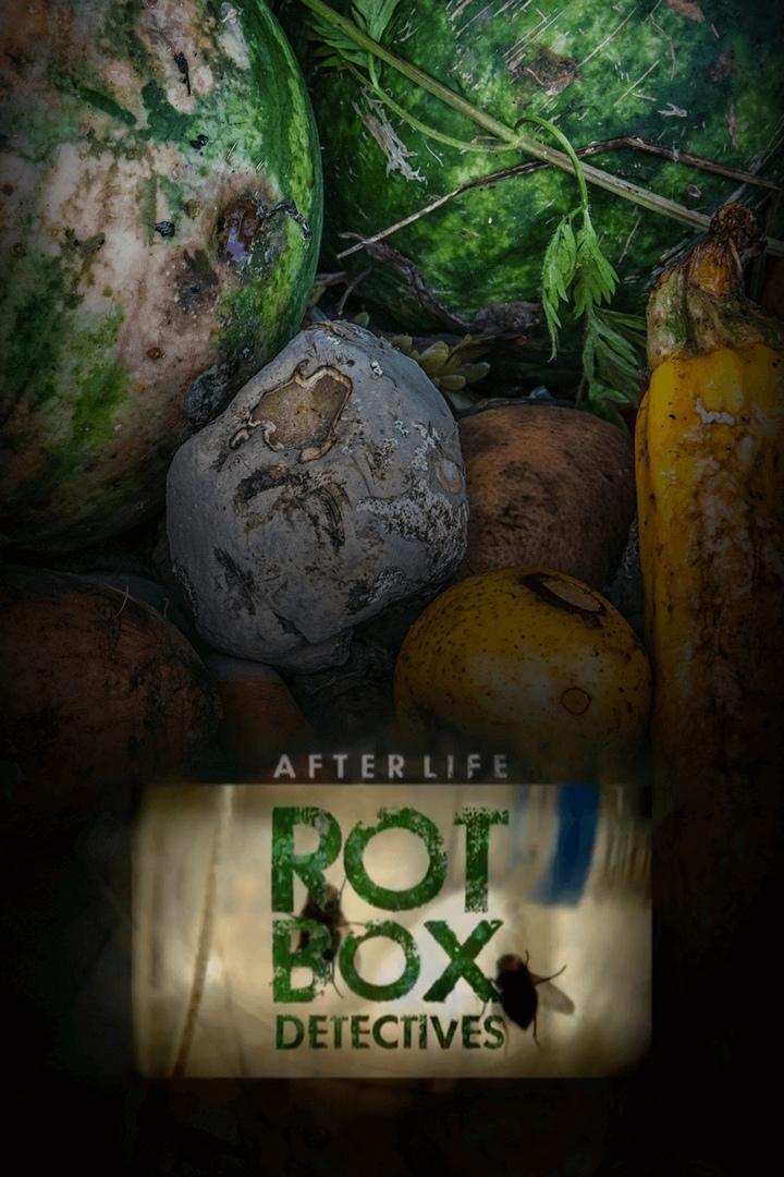 After Life: Rot Box Detectives (after-life-rot-box-detectives) Познавательное