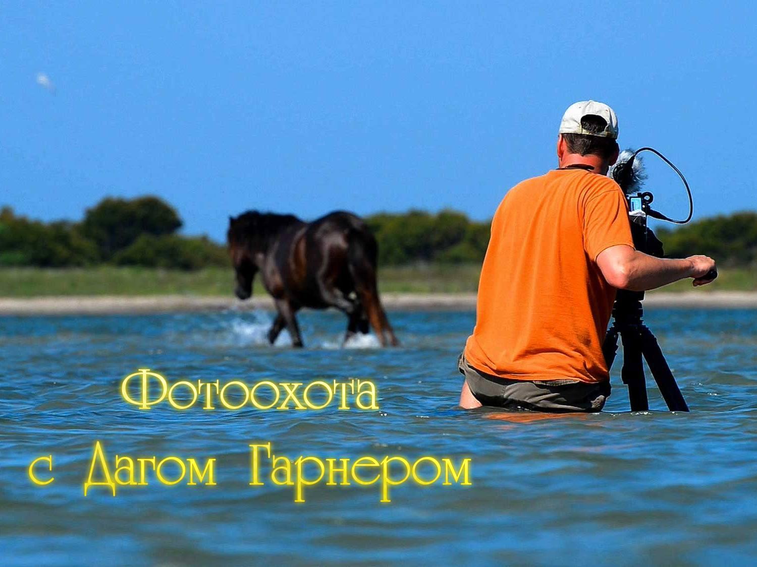 Фотоохота с Дагом Гарнером (fotoohota-s-dagom-garnerom) Документальный фильм