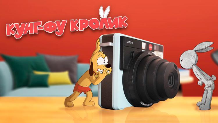 Постер Кунг Фу Кролик