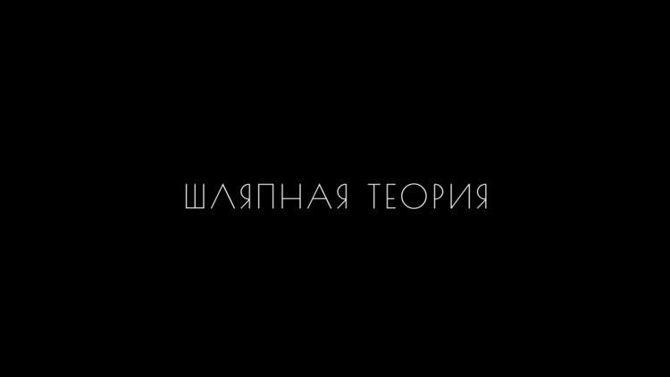 Постер Шляпная теория