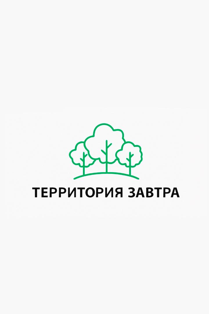 Финал экологического конкурса «Территория завтра» (final-ekologicheskogo-konkursa-territorija-zavtra) Досуг, хобби